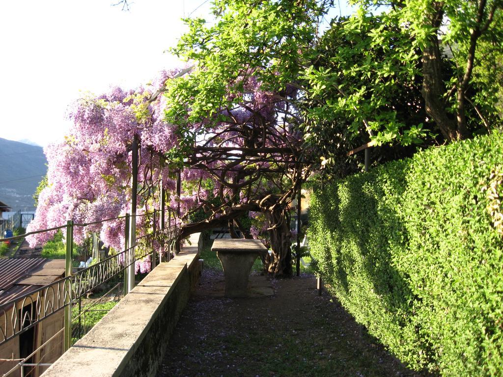 贝拉诺Casa Gibiseo公寓 外观 照片